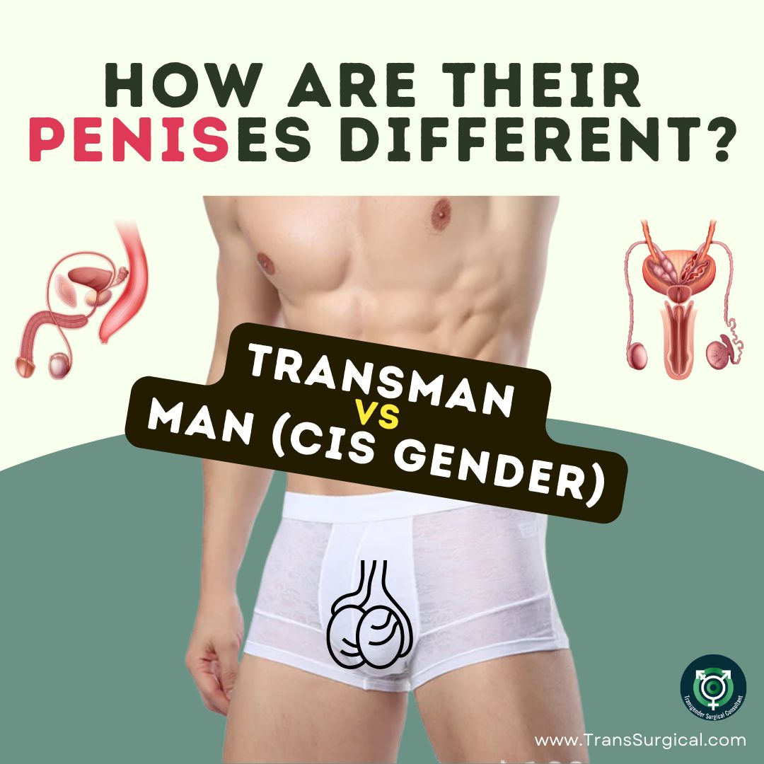 How are their penises different?